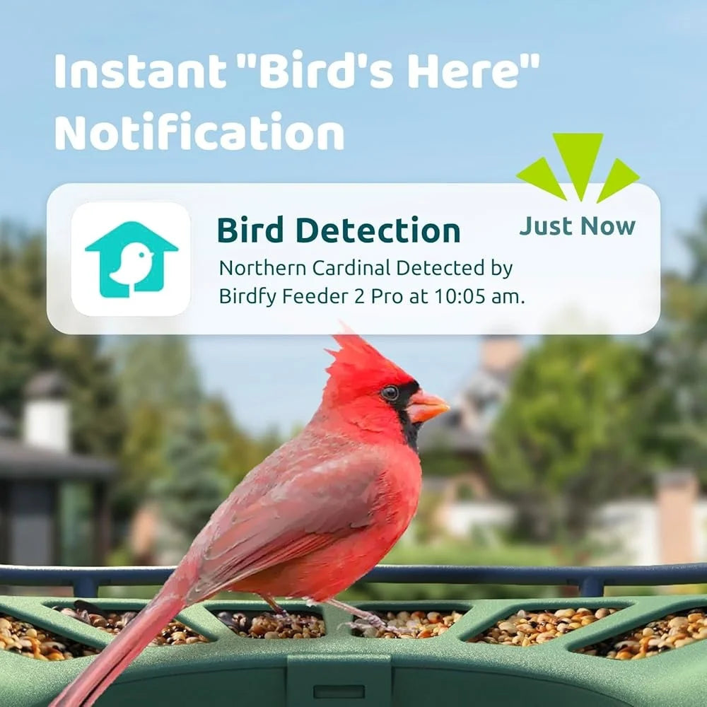 Smart Bird Feeder Camera Solar-Powered