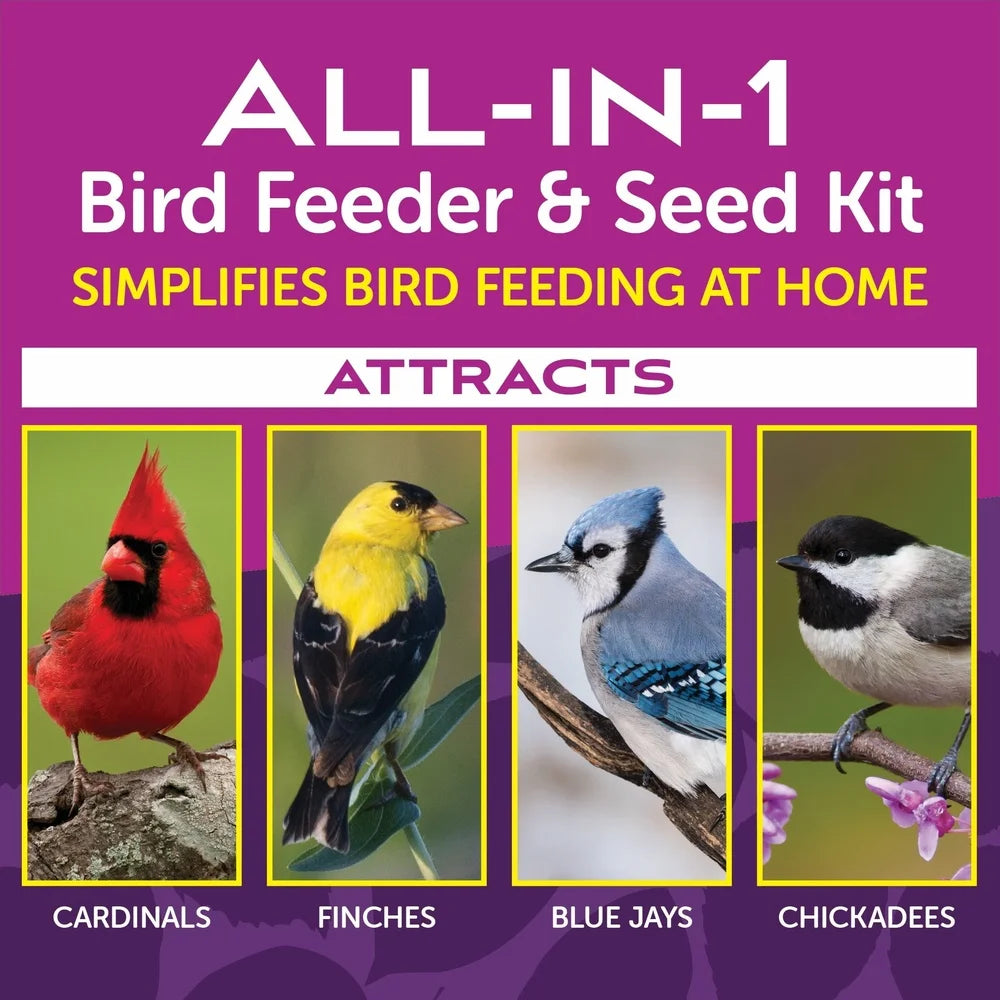 Bird Starter Kit, Feeder, Fruit, and Nuts