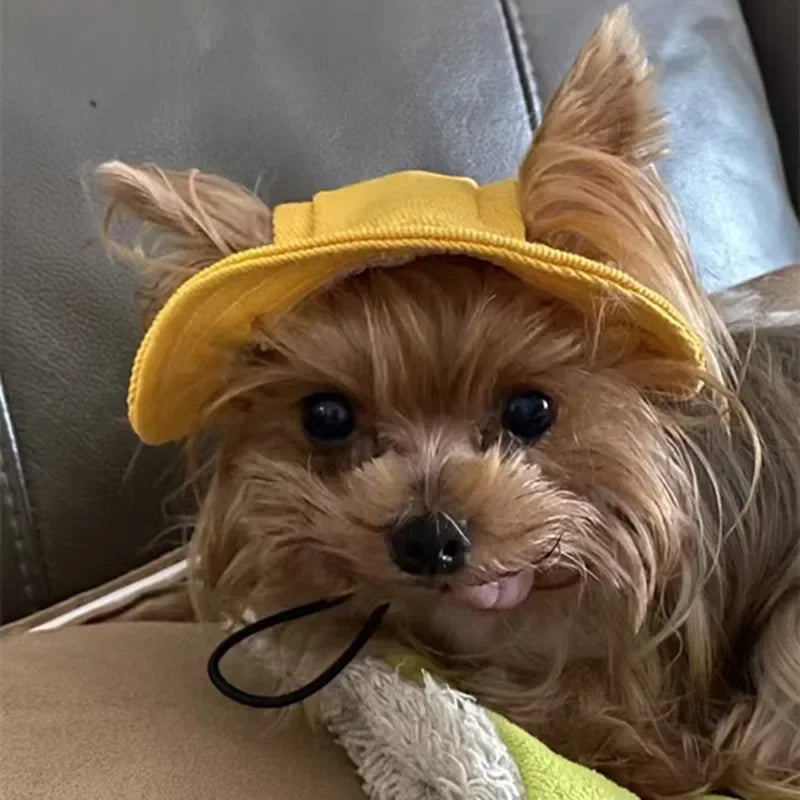 Cute Cat Dog Pets Hat with Ear Hole Dog Beach Visor Hat Sunhat for Cat Accessories Sun Cap Pet Outdoor Hat Supply for Dog Costum