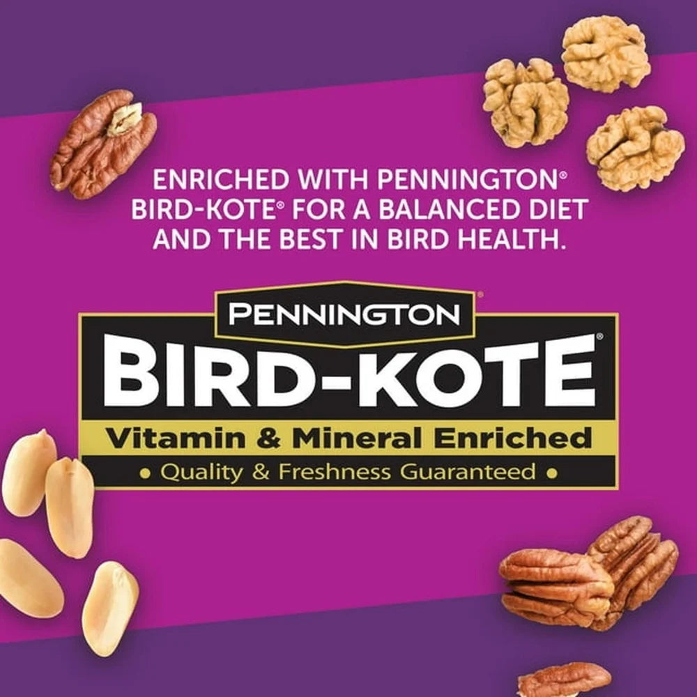 Bird Starter Kit, Feeder, Fruit, and Nuts