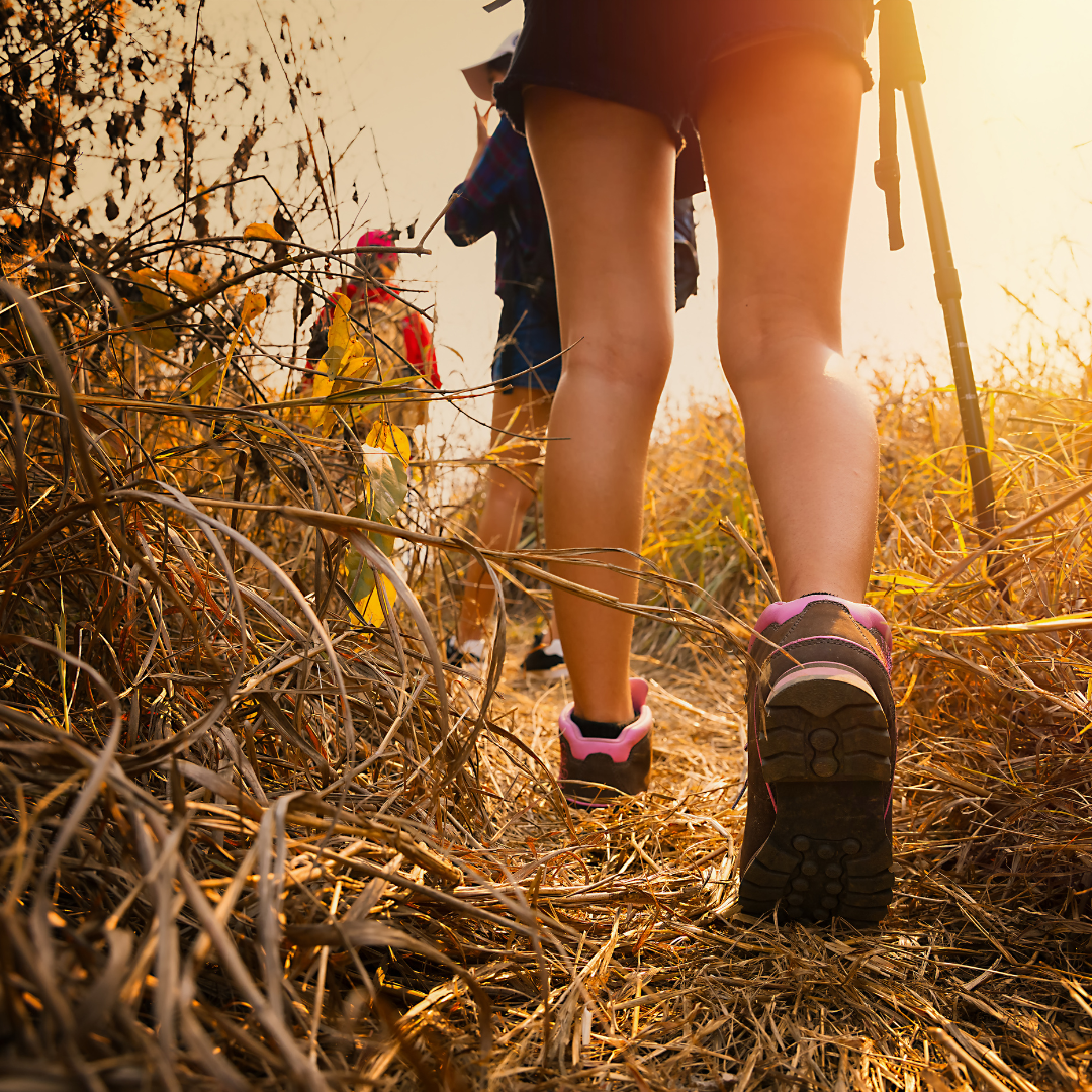 Hiking