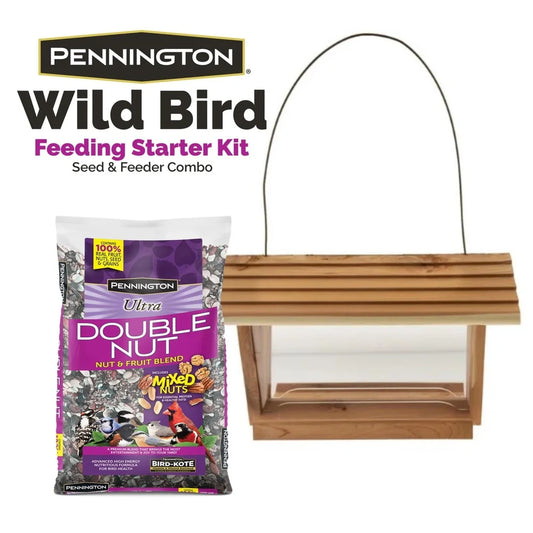 Bird Starter Kit, Feeder, Fruit, and Nuts