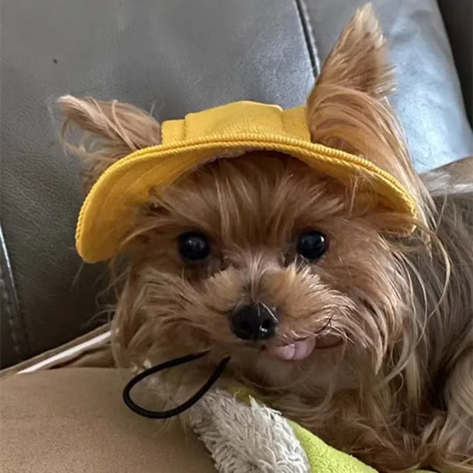 Cute Cat Dog Pets Hat with Ear Hole Dog Beach Visor Hat Sunhat for Cat Accessories Sun Cap Pet Outdoor Hat Supply for Dog Costum