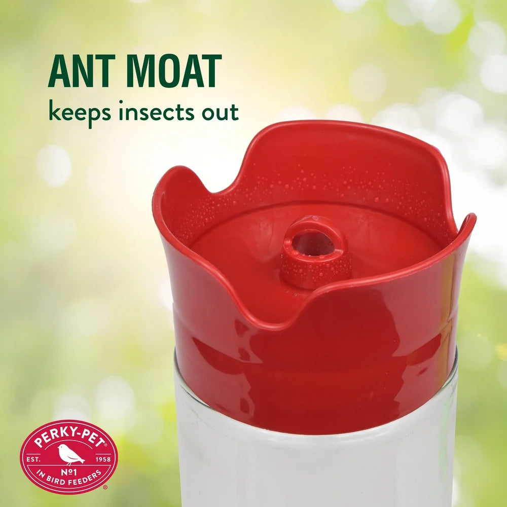 Glass Hummingbird Feeder, Ant Moat Bee Guards